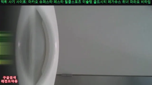 성남시 수정구 ㅈ ㅏ ㅇ ㅅ ㅣ ㄹ ㅁ ㅗㄹㅋ ㅏ 레전드 - 11분 58초